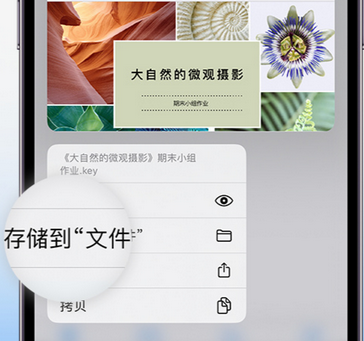 新乡apple维修中心分享iPhone文件应用中存储和找到下载文件