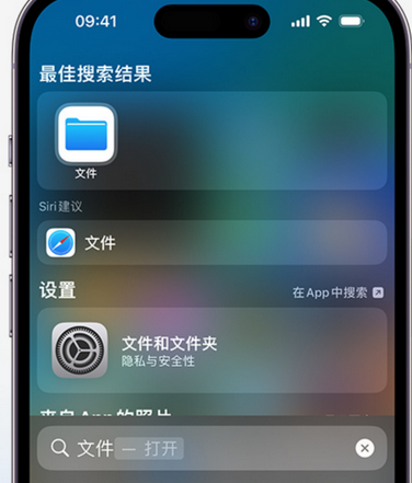 新乡apple维修中心分享iPhone文件应用中存储和找到下载文件 