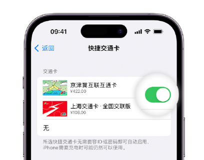 新乡apple维修点分享iPhone上更换Apple Pay快捷交通卡手绘卡面 