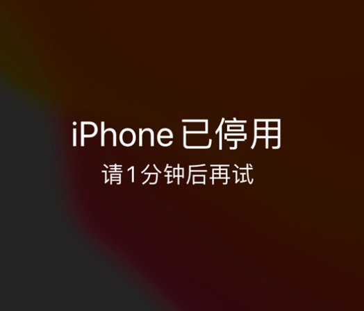 新乡苹果手机维修分享:iPhone 显示“不可用”或“已停用”怎么办？还能保留数据吗？ 