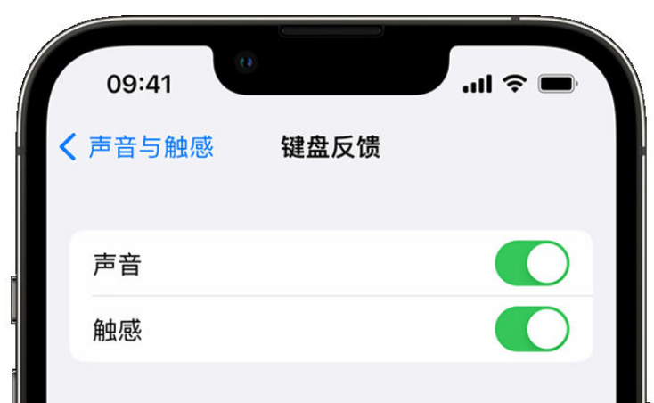 新乡苹果手机维修分享iPhone 14触感键盘使用方法 