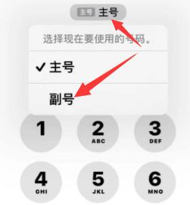 新乡苹果14维修店分享iPhone 14 Pro Max使用副卡打电话的方法 