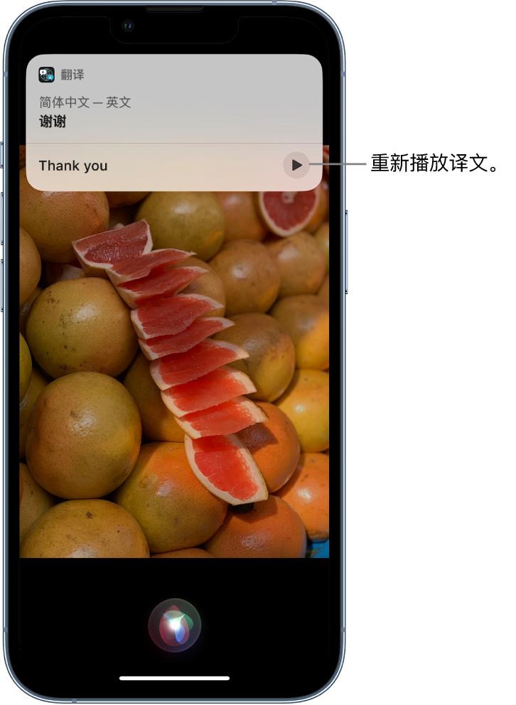 新乡苹果14维修分享 iPhone 14 机型中使用 Siri：了解 Siri 能帮你做什么 