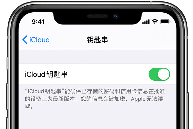 新乡苹果手机维修分享在 iPhone 上开启 iCloud 钥匙串之后会储存哪些信息 