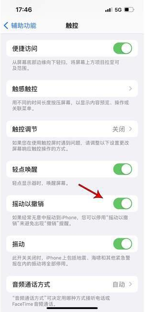 新乡苹果手机维修分享iPhone手机如何设置摇一摇删除文字 