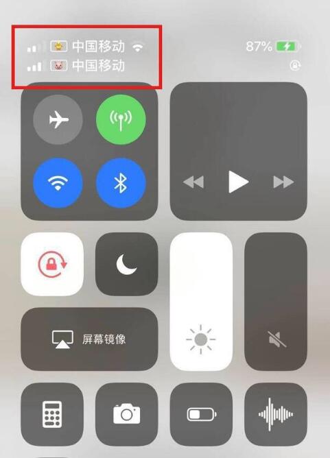 新乡苹果手机维修分享为 iPhone 12 双卡设置标签 