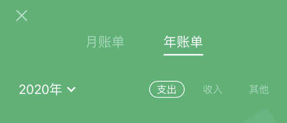新乡苹果手机维修分享如何在 iPhone 上查看支付宝和微信年支出账单 